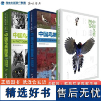 套装共3册 中国鸟类图鉴猛禽版+鸦科版+鸻鹬版 观鸟识鸟BB科普读物 亚洲鸟类观察手册国家地理珍稀鸟类全书 海峡书