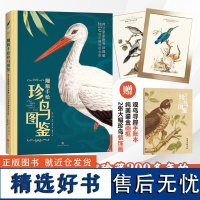 雕版手绘珍鸟图鉴(荷兰皇家图书馆珍藏200多年的“国家级”古画)观鸟系列科普天地社