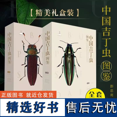 正版 中国吉丁虫图鉴全套两册[精美礼盒装]2册海峡书局彭忠亮主编昆虫图鉴 中英文双语版 自然科普百科类书籍 模式标本