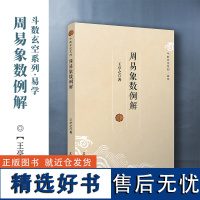 全新正版 周易象数例解 王亭之 斗数玄空系列 玄学书籍 周易象数学入门书籍 易学术数复旦大学出版社