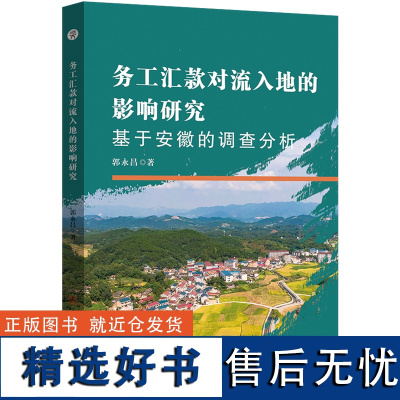 务工汇款对流入地的影响研究:基于安徽的调查分析 民工 居民收入 影响 农村经济 经济发展 研究 安徽 郭永昌 著 97