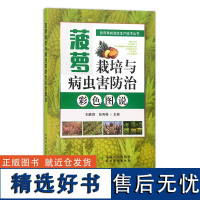 菠萝栽培与病虫害防治彩色图说 果树园艺 热带水果 热带果树高效生产技术丛书 刘胜辉,张秀梅 30284