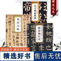 历代碑帖精粹 唐 颜真卿麻姑仙坛记东方朔画赞碑祭侄文稿简体旁注楷书碑帖毛笔字帖杜浩唐代名家书法临摹练字帖唐代书法临摹练字