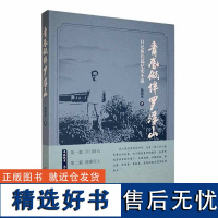 青春做伴罗浮山 陈楷华 中国当代小说 日记体长篇纪实小说