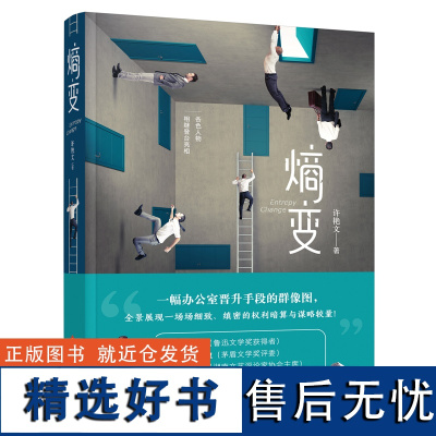 熵变办公室晋升手段权利暗算谋略较量王跃文欧阳友权余三定