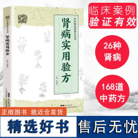 肾病实用验方 中医病症效验方丛书 验方新编 中医验方大全 奇效验方 广东科技出版社店