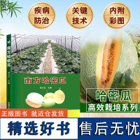 正版南方哈密瓜曾立红编 哈密瓜种植栽培新技术哈密瓜病虫害防治及安全用药大棚哈密瓜种植技术哈密瓜生产技术全书哈密瓜种植书籍