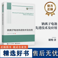 店 重器出版工程 钠离子电池先进技术及应用 钠离子电池关键材料基础研究与高性能钠离子电池的制备技术探索书籍 谢嫚 等