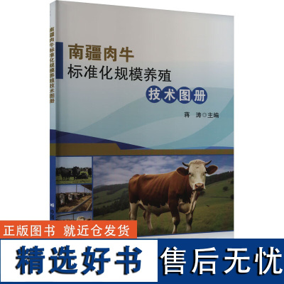 南疆肉牛标准化规模养殖技术图册 肉牛良种繁育养殖设施防疫粪污无害化管理技术指导书 肉牛饲料转化率增产生态污染防治示范书籍