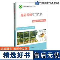 正版高效养蜂实用技术 养蜂书籍大全技术教程 蜜蜂中蜂饲养病虫害防治 蜂蜜生产 蜂群管理 蜜蜂中蜂饲养技术