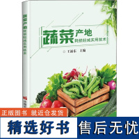 正版 蔬菜产地耗损轻减实用技术 生菜春季采后耗损轻减实用技术 芹菜春李采后耗损轻减实用技术 果类蔬荣春季采后耗损轻减实用