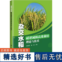 正版书籍 杂交水稻耐逆减损高效栽培理论与技术 徐富贤 熊洪 著 水稻生产对气候条件的响应 高低温对水稻开花期伤害的风险预