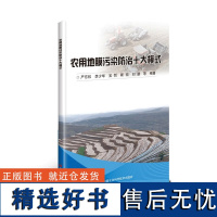 正版书籍 农用地膜污染防治十大模式 加强地膜污染治理 农膜生产者责任延伸治理模式 特点 流程 配套措施 适用范围指南