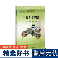 正版书籍 生物化学实验 电泳技术 离心技术 沉淀技术 层析技术 分光光度技术教学书 培养学生对所学知识的综合运用能力指南