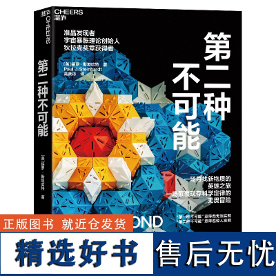 第二种不可能 物理学家保罗·斯坦哈特著 湛庐文化 科普读物 科学冒险小说 准晶的发现故事 趣味性 纪实惊悚小说