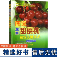 图说温室甜樱桃栽培关键技术 孟凡丽 梁春莉 于立杰编著 温室大棚樱桃栽培管理技术9787565528101