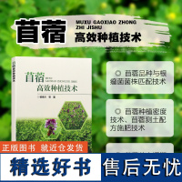 苜蓿高效种植技术 苜蓿良种良法技术指导书 农业牧草种植书籍 苜蓿生产经营管理环保土壤治理人员参考书 中国农业科学技术出版