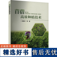 苜蓿高效种植技术 杨青川 编 9787511665867 中国农业科学技术出版社