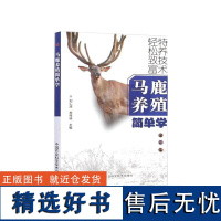 马鹿养殖简单学 刘汇涛 苏伟林 编 9787511610676 中国农业科学技术出版社 ISBN:97875116