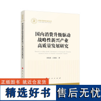 国内消费升级驱动战略性新兴产业高质量发展研究