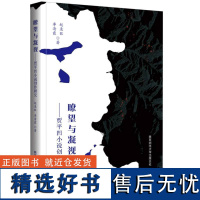 瞭望与凝视——贾平凹小说创作研究