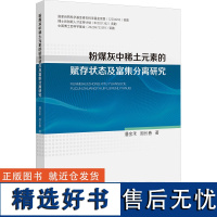 [新华]粉煤灰中稀土元素的赋存状态及富集分离研究 潘金禾,周长春 正版书籍 店 中国矿业大学出版社