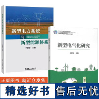 [全2册]新型电气化研究辛保安+新型电力系统与新型能源体系 新型电力系统构建方法论 新型电力系统技术创新新型能源体系建设