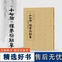 正版 十七帖 释要与临摹说文解字傅文治草书解说阐释临摹字帖 王羲之指导草书写技法取法 草书墨章笔法毛笔书法艺术参考工具书