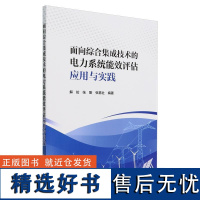 面向综合集成技术的电力系统能效评估应用与实践 解佗 张刚 张靠社 编著中国电力出版社9787519887681正版书籍