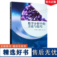 数学分析中的方法与技巧(理科教辅) 严子谦 高等教育出版社