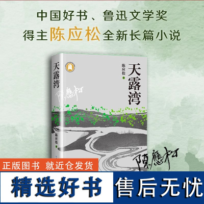 天露湾 鲁迅文学奖得主 陈应松长篇小说 年度中国好书 当代乡村脱贫奔小康 小说书排行榜 文艺小说 小说书籍 长江文艺