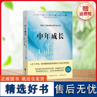 [新华]中年成长/[美]罗伯特·A.约翰逊、杰瑞·M.鲁尔 [美]罗伯特·A.约翰逊、杰瑞·M.鲁尔/著周党伟、盛文哲/