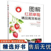 图解红颜草莓精品高效栽培 9787109323247 /特色果品提质增效技术丛书 祝宁 宗静 陈怀勐 孙健 编 中国