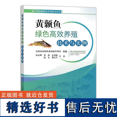 黄颡鱼绿色高效养殖技术与实例 沈志刚 何焱 鱼养殖养鱼书籍鱼病快速诊断与防治技术 池塘鱼淡水鱼类营养需求与饲料配制技术