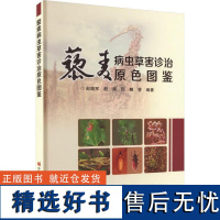 藜麦病虫草害诊治原色图鉴 赵晓军 殷辉 邢鲲 编 9787511665737 中国农业科学技术出版社