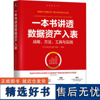 [正版]一本书讲透数据资产入表 王琰/孟庆国/刘晗/朱越等 数据资产管理标杆厂商亿信华辰出品5维度构建数据资产入表知识体