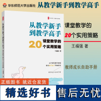 从教学新手到教学高手 课堂教学的20个实用策略 大夏书系 教师专业发展 教师成长自助手册 中小学教师教学用书 华东师范大