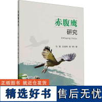 赤腹鹰研究 马强,王龙祥,胡博 著 生命科学/生物学专业科技 正版图书籍 中国农业出版社