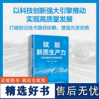 赋能新质生产力 科技创新赋能高质量发展 丁明磊 秦铮 石敏杰著 中信出版社