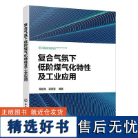 复合气氛下低阶煤气化特性及工业应用 程相龙、郭晋菊 编著化学工业出版社9787122464453正版书籍