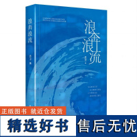 浪奔浪流-丞卫著 丞卫 著 现代/当代文学文学 正版图书籍 海天出版社