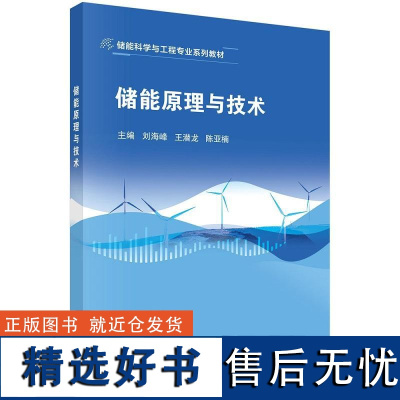 储能原理与技术9787030793898刘海峰科学出版社