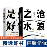 沧浪之水+如何是好 阎真 著 现代/当代文学文学 正版图书籍 北京十月文艺出版社等