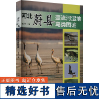 河北蔚县壶流河湿地鸟类图鉴 赵志军 编 生命科学/生物学专业科技 正版图书籍 中国林业出版社