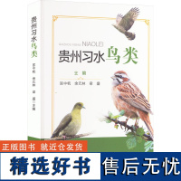 贵州习水鸟类 匡中帆 等 编 建筑/水利(新)专业科技 正版图书籍 中国林业出版社