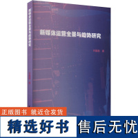 新媒体运营全景与趋势研究 付晶晶 著 广告营销经管、励志 正版图书籍 中国戏剧出版社