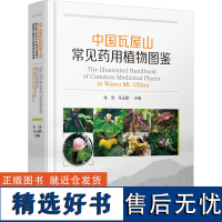 中国瓦屋山常见药用植物图鉴 张浩,冯玉麟 编 药学生活 正版图书籍 四川科学技术出版社