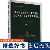 正版中国化工新材料技术产业化潜力评价与协同扩散路径研究9787509696101经济管理出版社鲁汇智