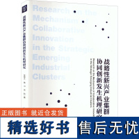 正版战略新兴产业集群协同创新发生机理研究9787509684146经济管理出版社张敬文,黄山,徐莉