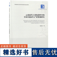 正版云南近代工业化进程中的劳动力流动与产业集聚研究/经济管理学术文库9787509659779经济管理杨海滨